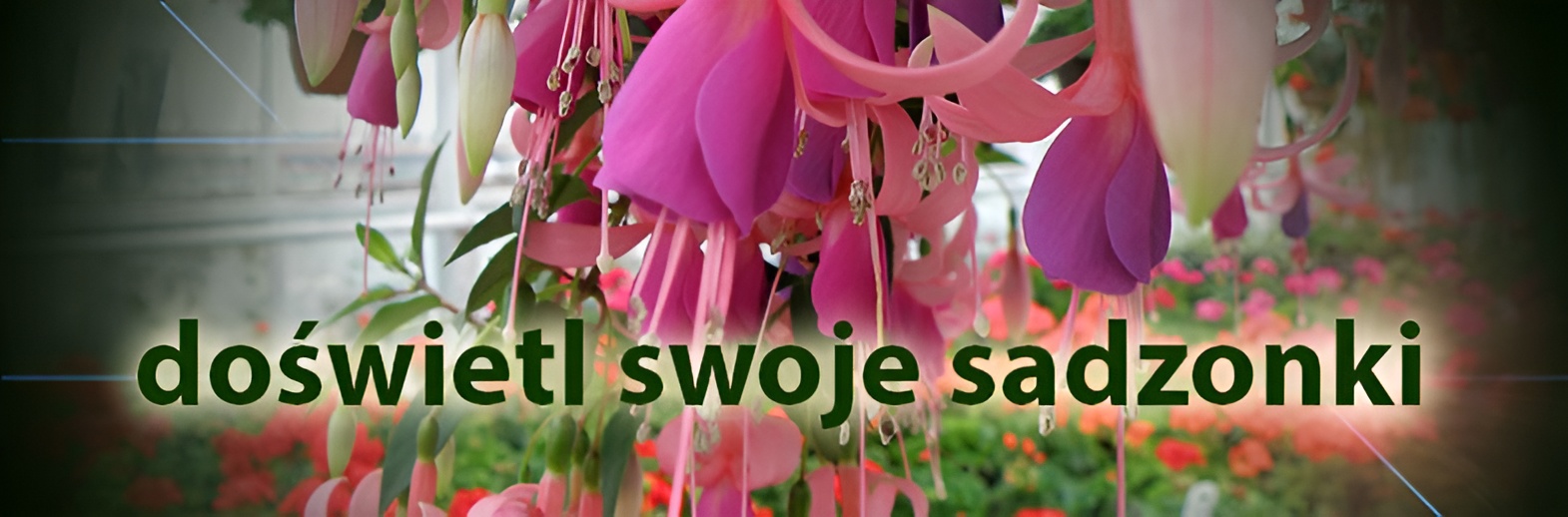 Etykiety i drukarki szkółkarskie w sklepie Floreko